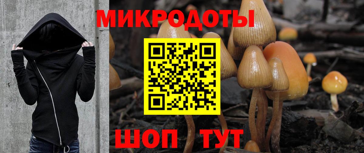Солнечногорск  Псилоцибиновые грибы мухоморы  Вход с VPN 