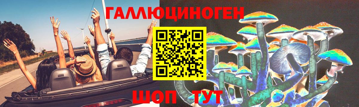 Галлюциногенные грибы мицелий Солнечногорск